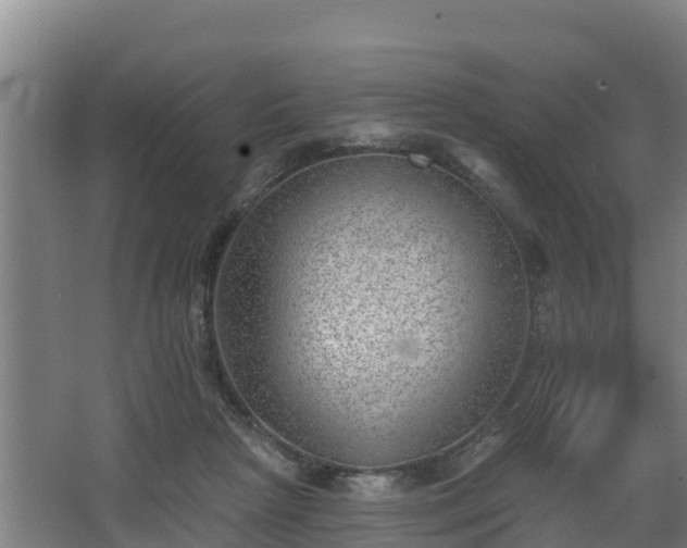 X0000068270265200604281559