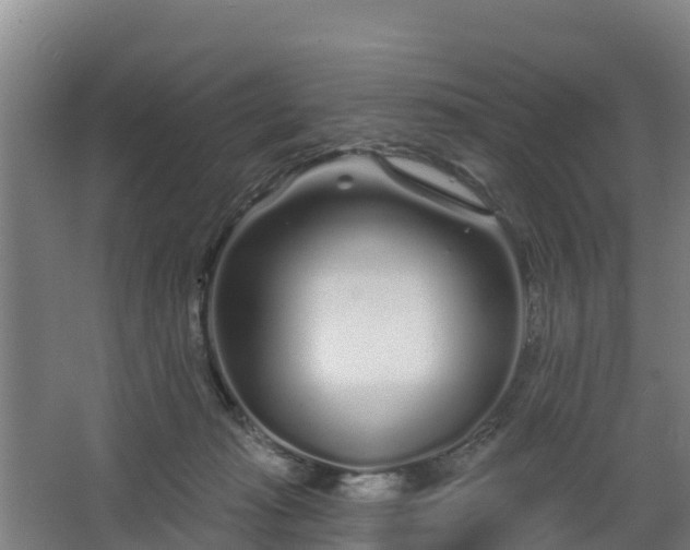 X0000068270269200604281559