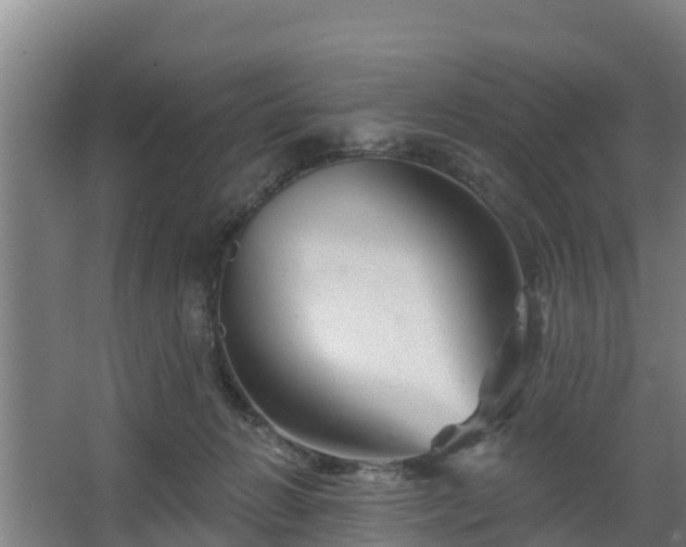 X0000068270270200604281559