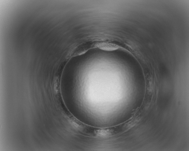 X0000068270273200604281559