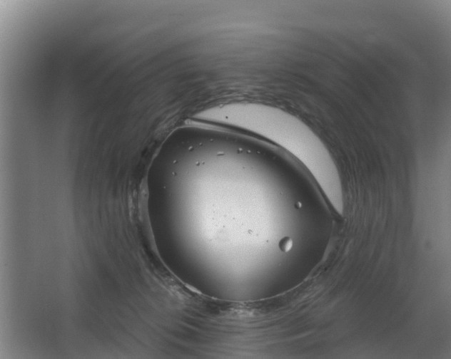 X0000068270276200604281559