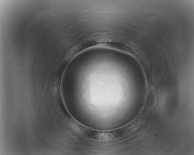 X0000068270277200604281559