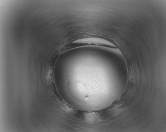 X0000068270281200604281559