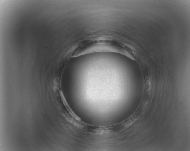 X0000068270284200604281559