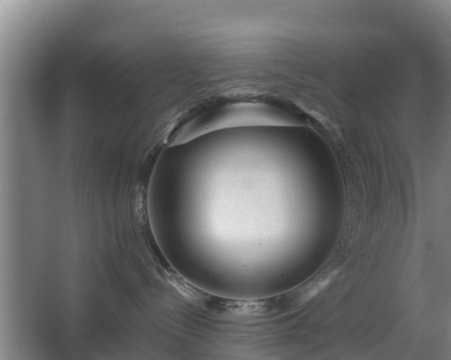 X0000068270288200604281559