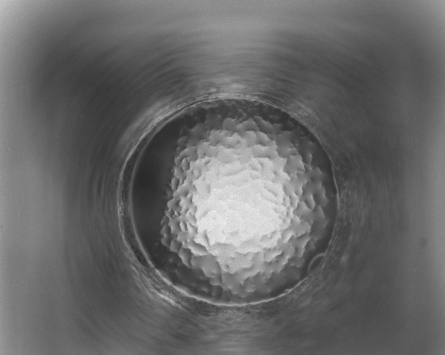 X0000068270290200604281559