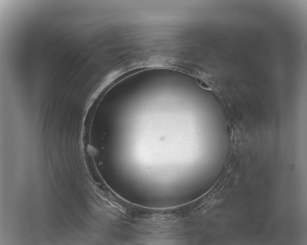 X0000068270292200604281559