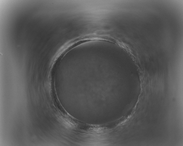 X0000068270295200604281559