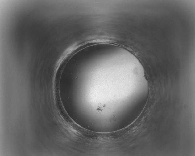 X0000068270296200604281558