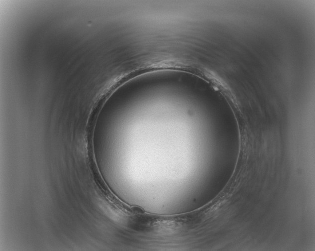 X0000068270298200604281558