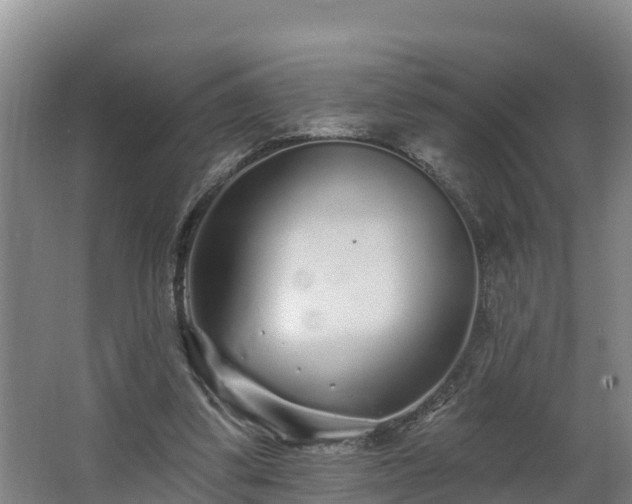 X0000068270299200604281558