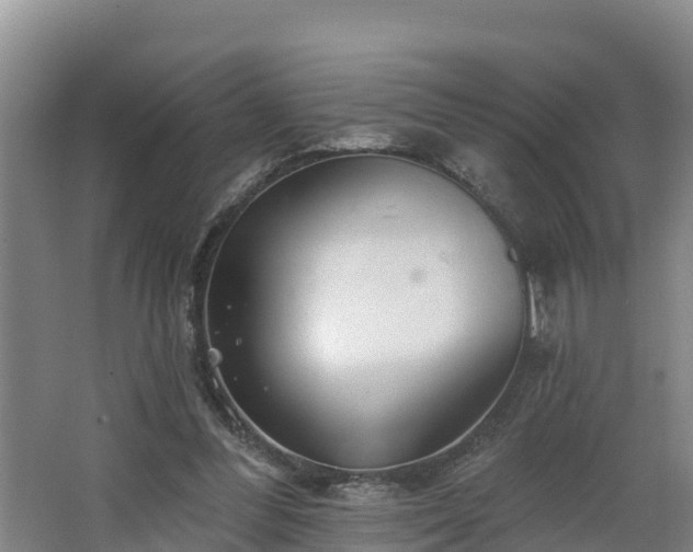 X0000068270300200604281558