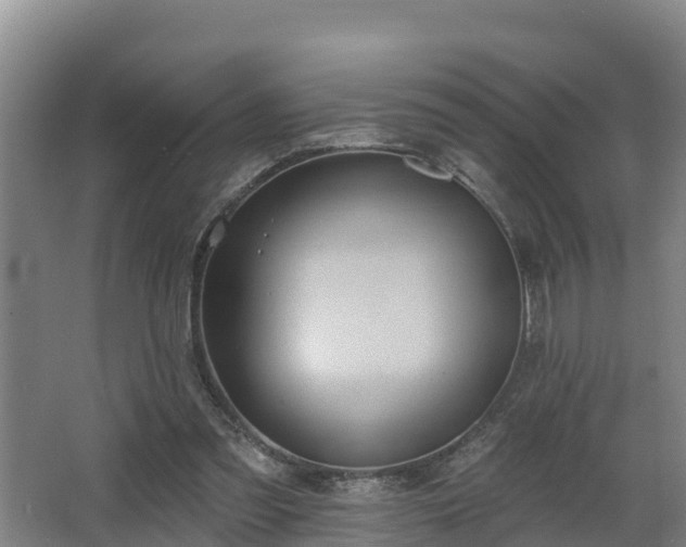 X0000068270301200604281558