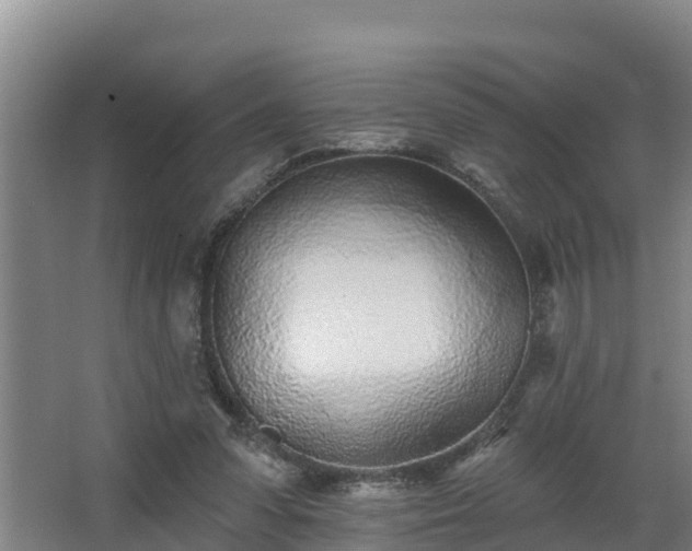 X0000068270303200604281558