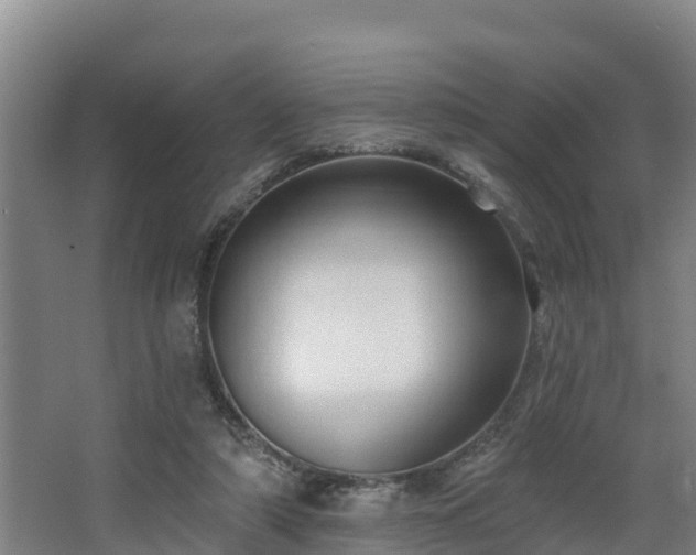 X0000068270306200604281558