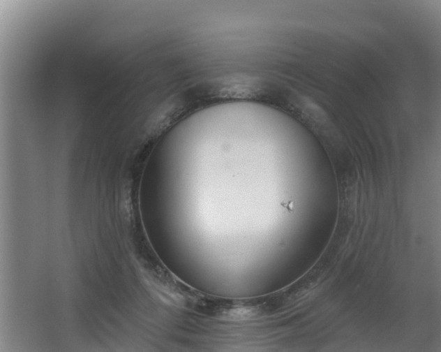 X0000068270312200604281558