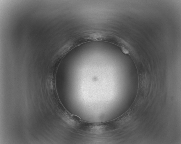 X0000068270313200604281558