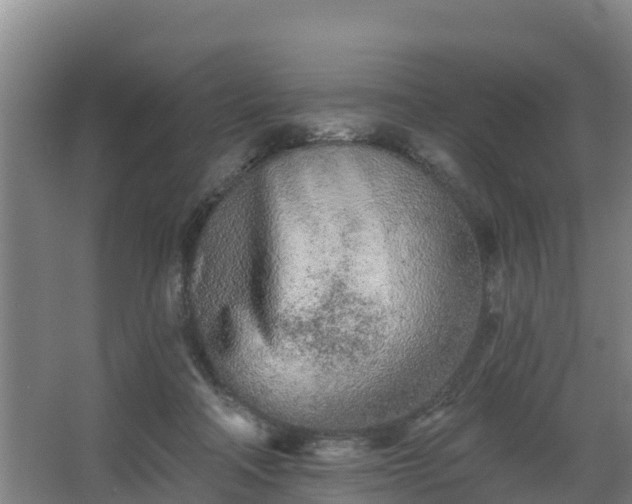 X0000068270314200604281558