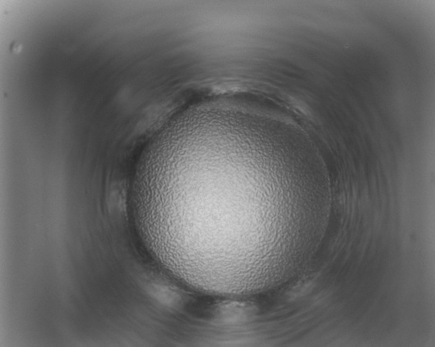 X0000068270315200604281558