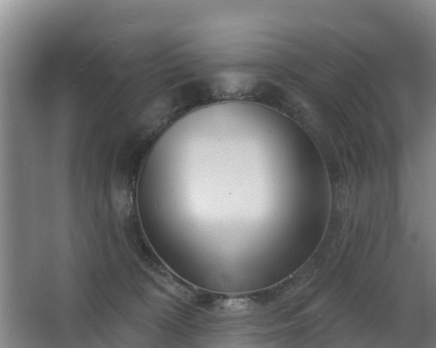 X0000068270324200604281558