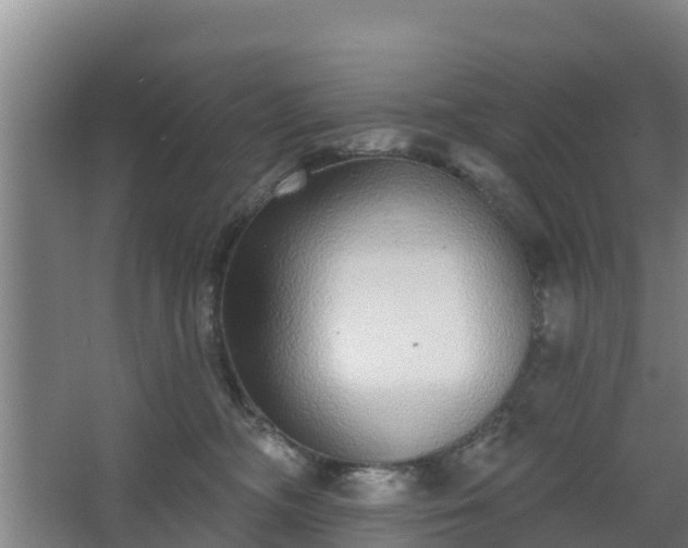 X0000068270326200604281558