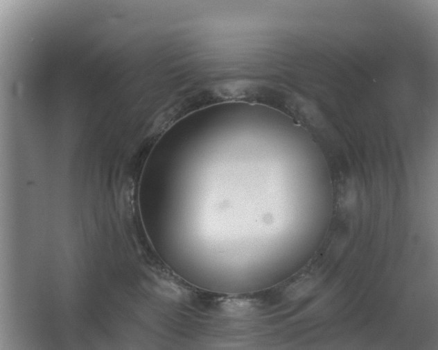 X0000068270332200604281558