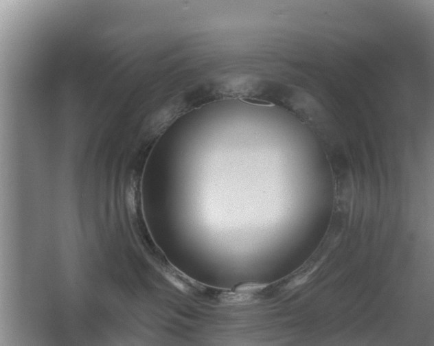 X0000068270334200604281558