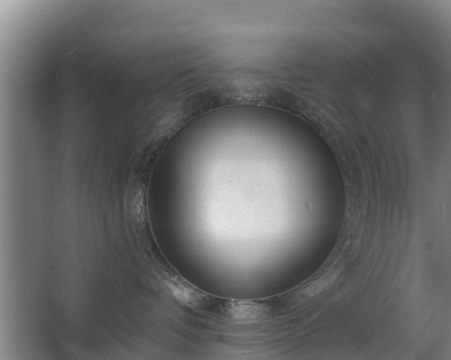 X0000068270336200604281558