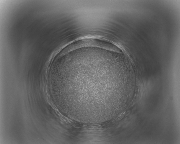 X0000068270337200604281557