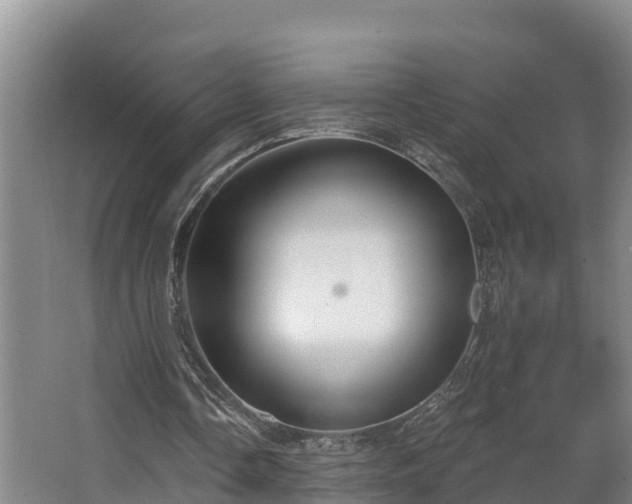 X0000068270338200604281557