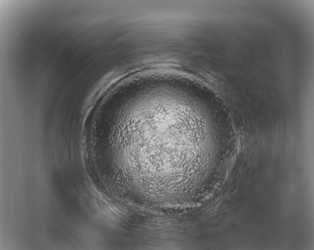 X0000068270339200604281557