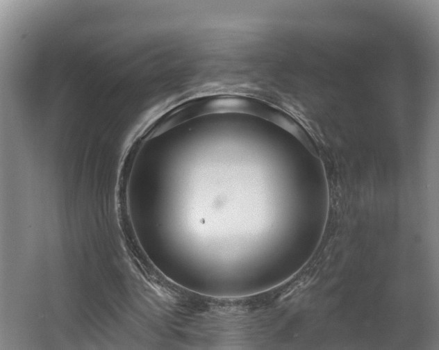 X0000068270340200604281557