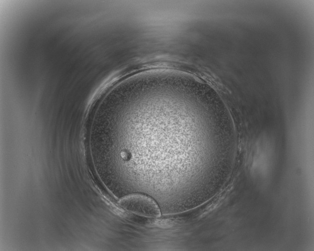 X0000068270341200604281557