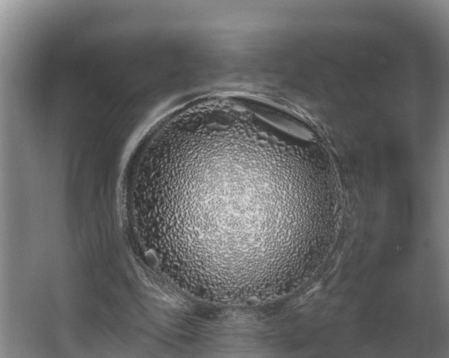 X0000068270343200604281557