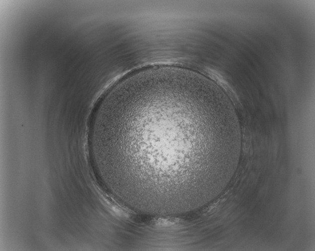 X0000068270346200604281557