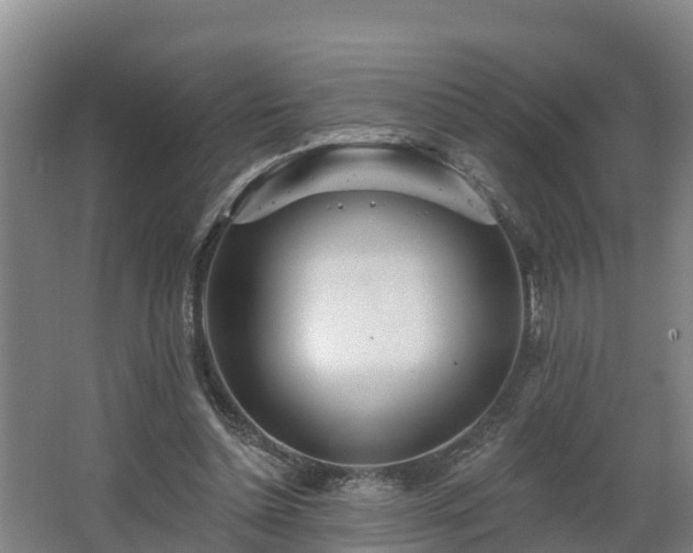 X0000068270348200604281557