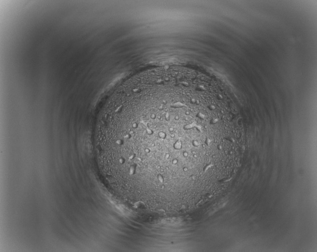 X0000068270353200604281557