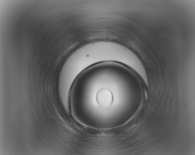 X0000068270356200604281557