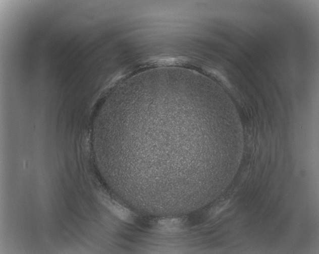 X0000068270357200604281557