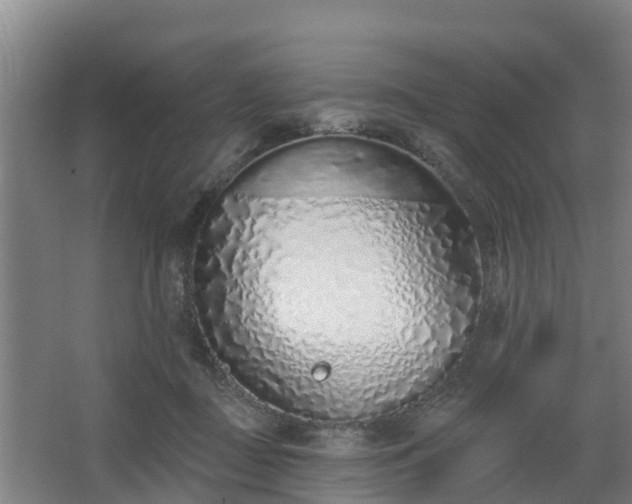 X0000068270363200604281557