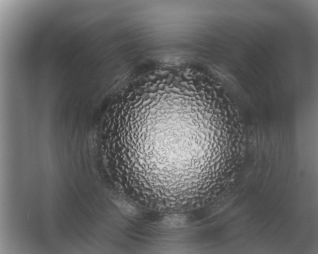 X0000068270369200604281558