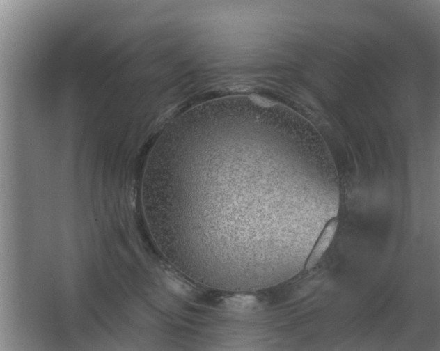 X0000068270374200604281558