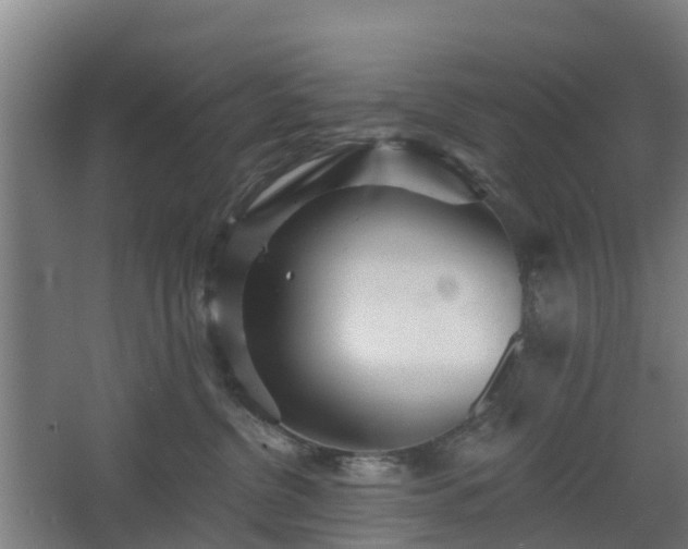 X0000068270380200604281558