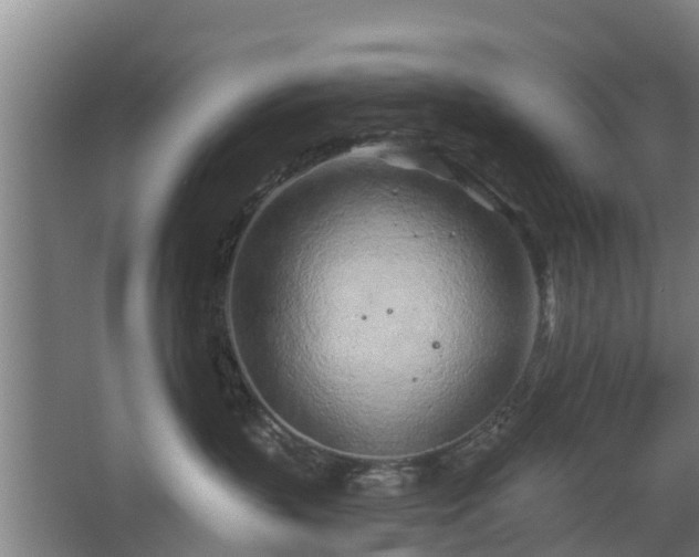 X0000068270383200604281558