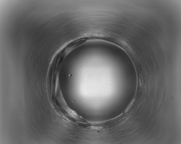 X0000068270388200604281557