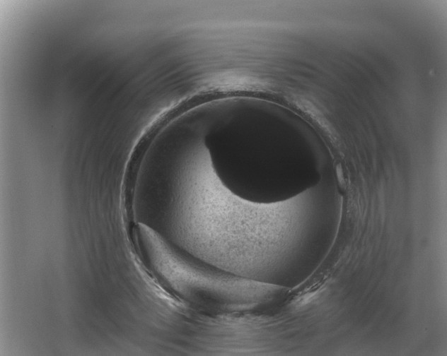 X0000068270391200604281557