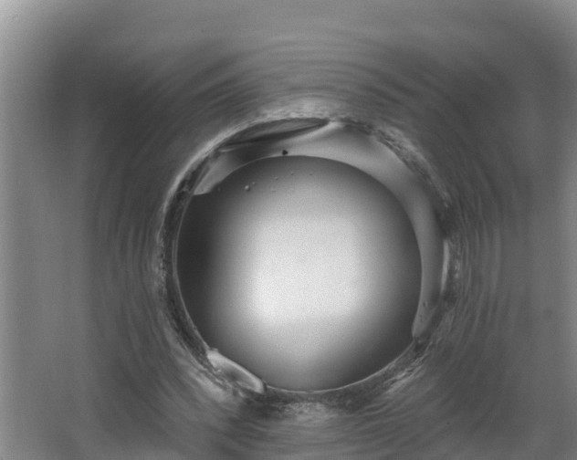 X0000068270392200604281557