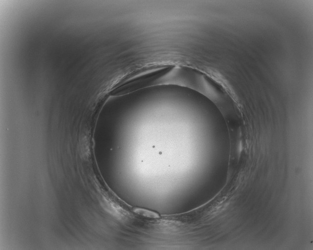 X0000068270393200604281557