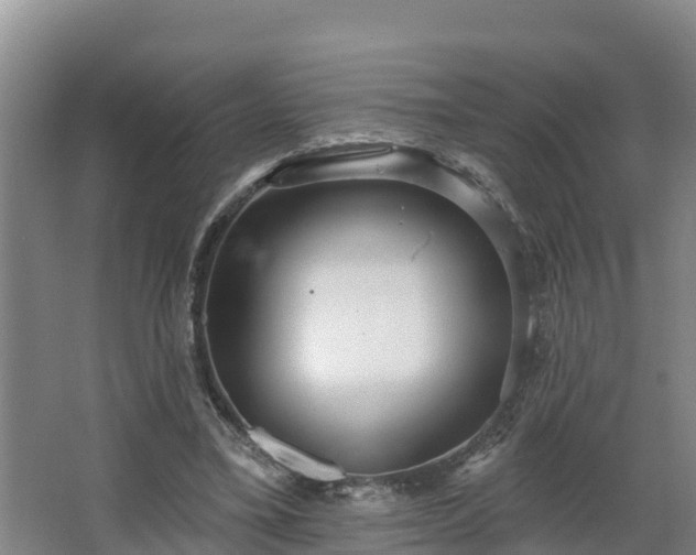 X0000068270395200604281557