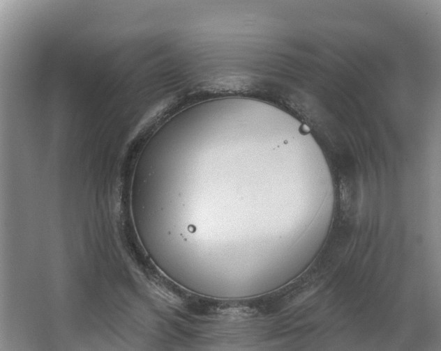 X0000068270396200604281557